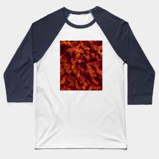 Autumn red and orange leaves - Abstract photography Baseball T-Shirt